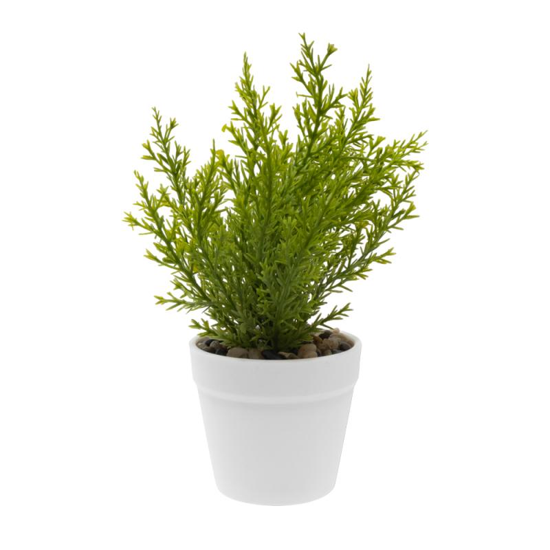 Плант микс ярославский