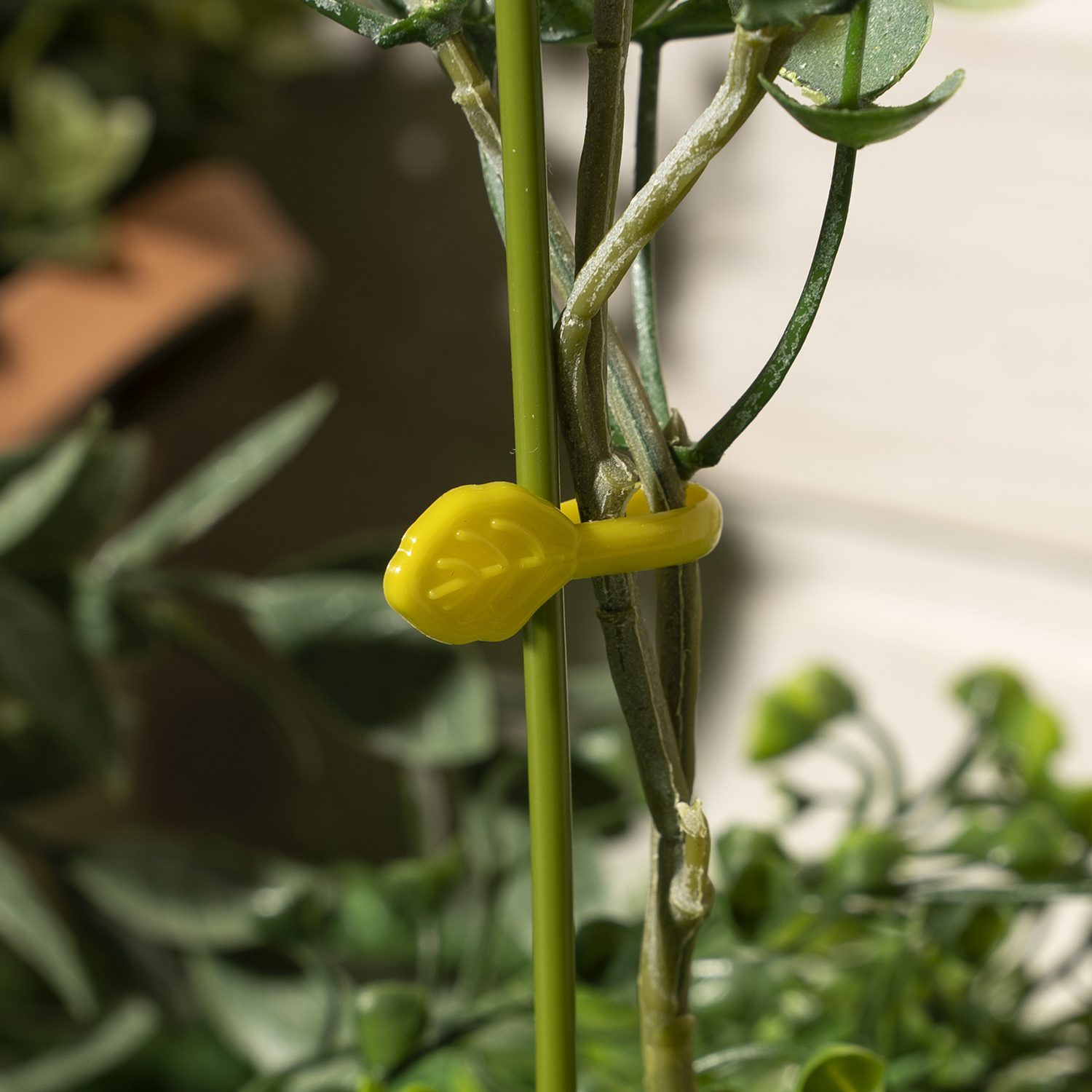 Клипсы для подвязки растений, 50 шт., в ассортименте - купить через ...