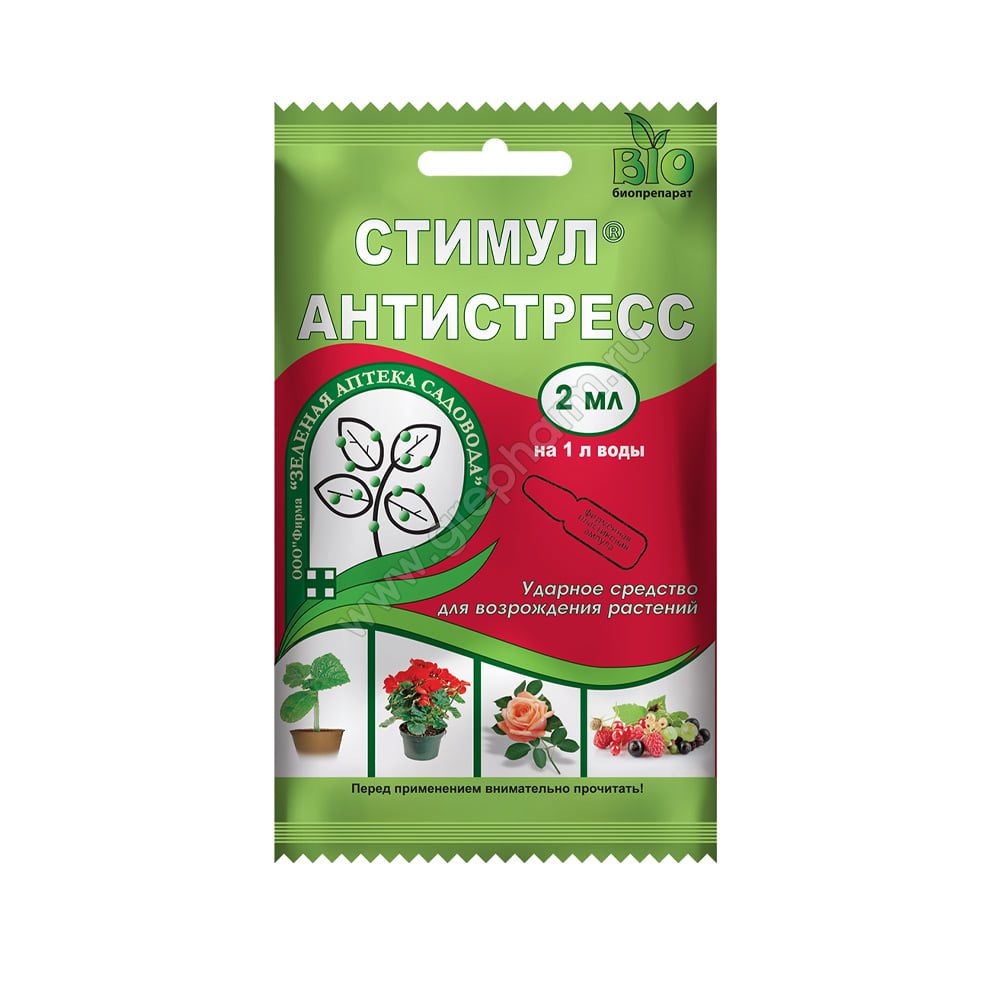 «Релакс в большом городе» в Московском международном доме музыки / События города / Сайт Москвы