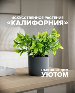 Искусственное растение "Калифорния", в ассортименте