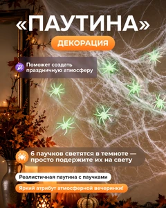 Декорация "Паутина"