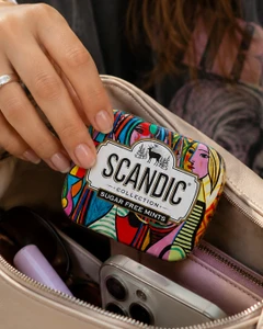 Конфеты, SCANDIC, 14 г, в ассортименте