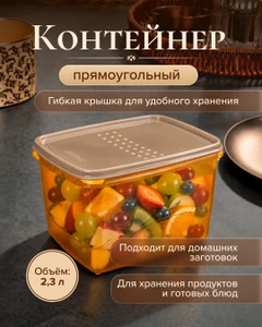 Контейнер прямоугольный, Plast Team, 2,3 л, в ассортименте