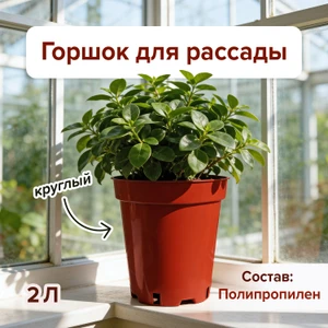 Горшок круглый для рассады, 2 л, в ассортименте