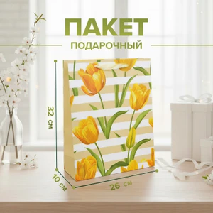 Пакет подарочный, Party, 26х10х32 см, в ассортименте