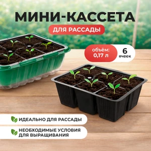 Мини-кассета для рассады, 178х130х50 мм, 0,17 л, 6 ячеек