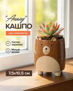 Кашпо для суккулентов "Аниму", в ассортименте