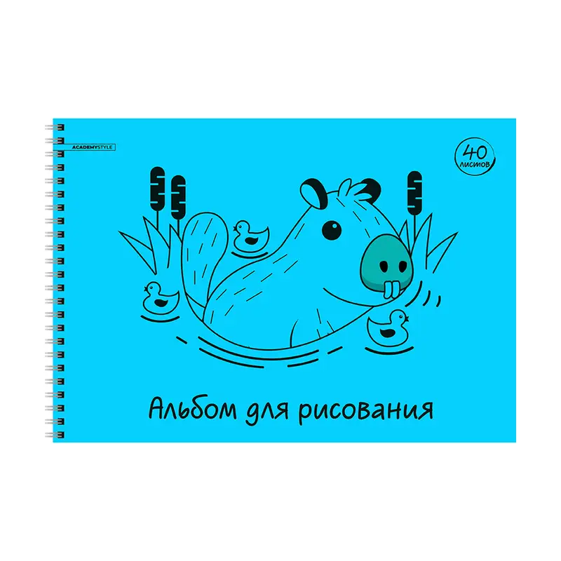 Альбом, 40 листов, в ассортименте