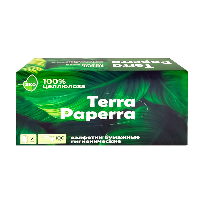 Салфет бум TERRA PAPERRA 100шт2сл кор АП