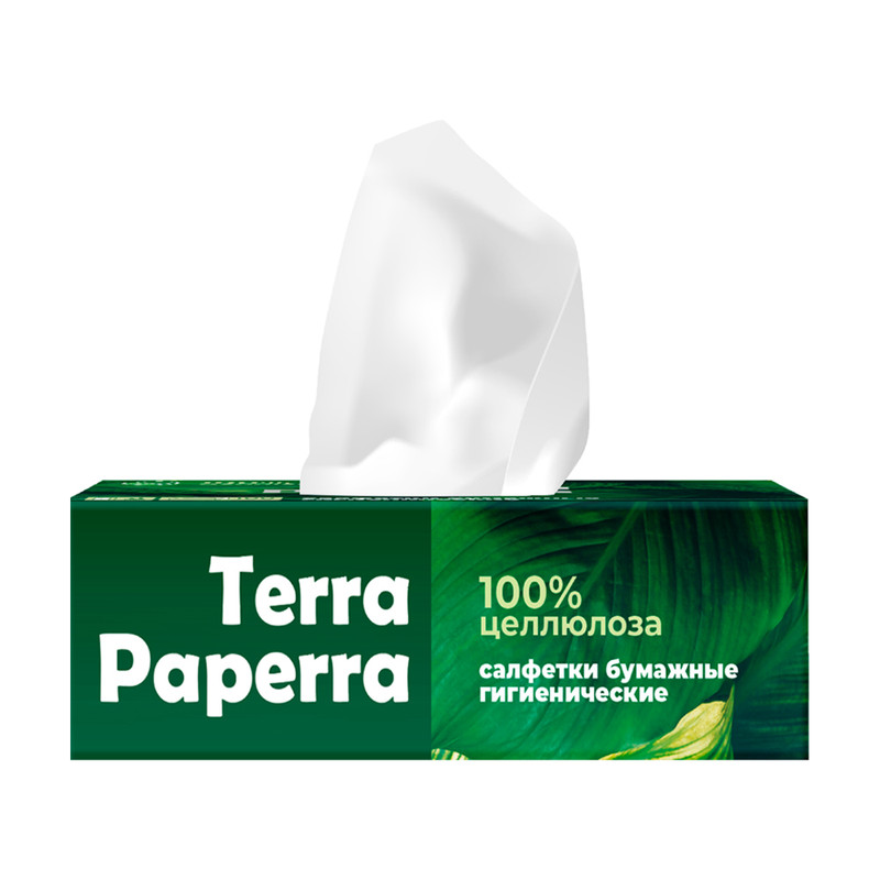 Салфет бум TERRA PAPERRA 100шт2сл кор АП