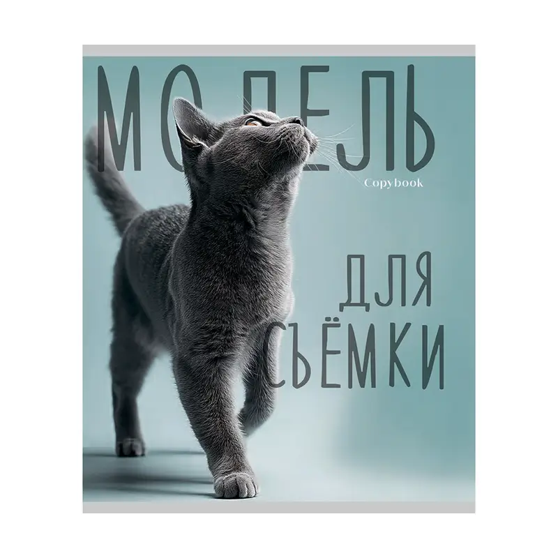 Тетрадь, 48 листов, клетка, в ассортименте