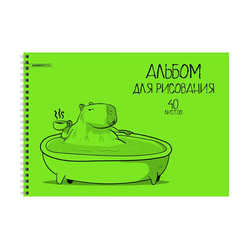 Альбом, 40 листов, в ассортименте