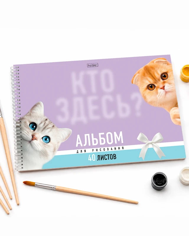 Альбом для рисования, 40 листов, в ассортименте