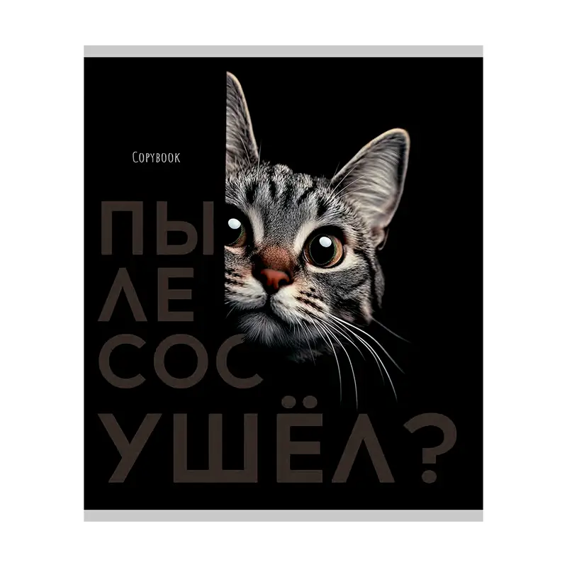 Тетрадь, 48 листов, клетка, в ассортименте
