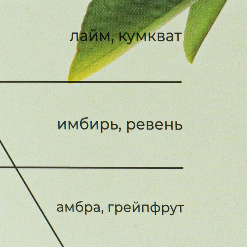 Аромадиффузор "Аура", ORIATIQUE, 40 мл, в ассортименте