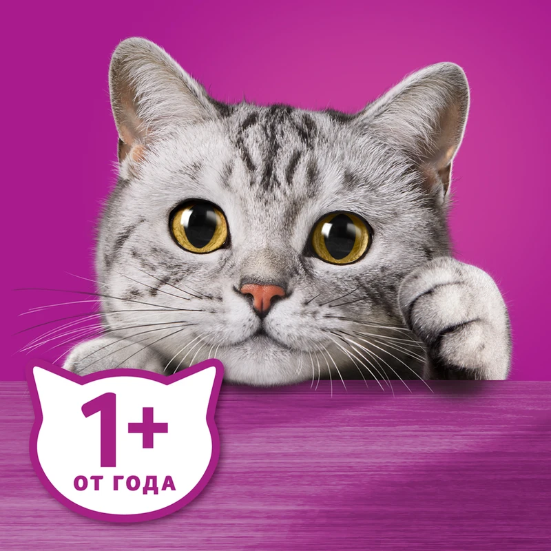 Корм для кошек, Whiskas, рагу с телятиной, 75 г