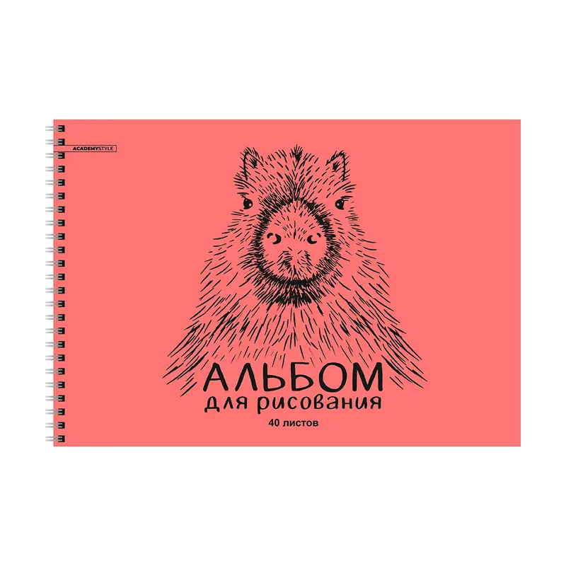 Альбом, 40 листов, в ассортименте