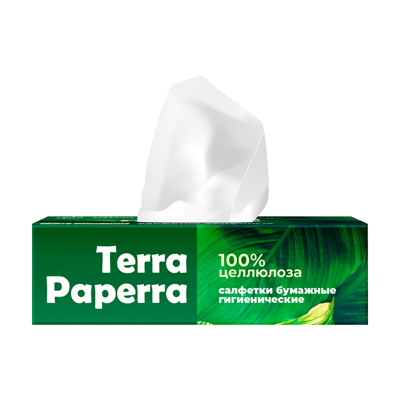 Салфет бум TERRA PAPERRA 100шт2сл кор АП