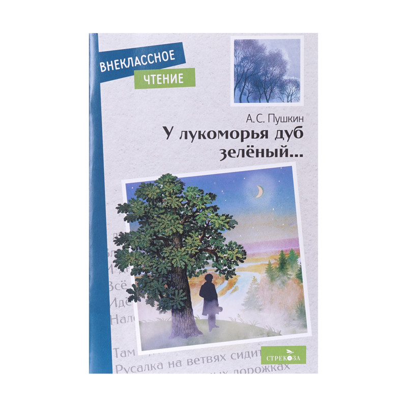 Серия книг "Внеклассное чтение"